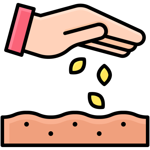 Quand semer mes tomates ?